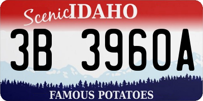 ID license plate 3B3960A