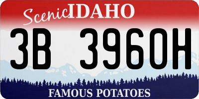 ID license plate 3B3960H