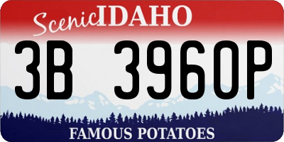 ID license plate 3B3960P