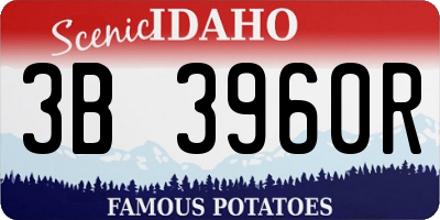 ID license plate 3B3960R