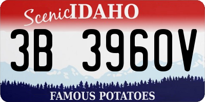 ID license plate 3B3960V