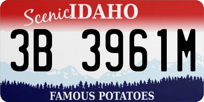 ID license plate 3B3961M