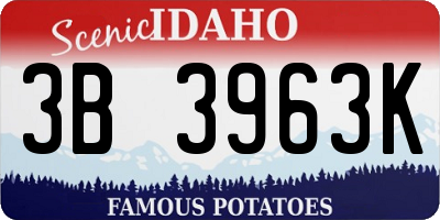 ID license plate 3B3963K