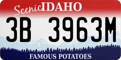 ID license plate 3B3963M