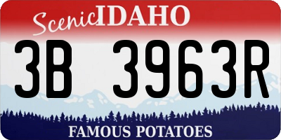 ID license plate 3B3963R