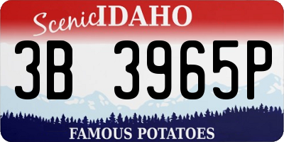 ID license plate 3B3965P
