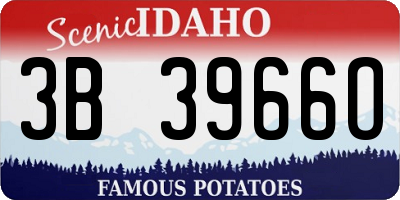 ID license plate 3B3966O
