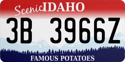 ID license plate 3B3966Z