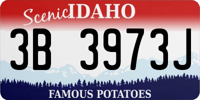 ID license plate 3B3973J
