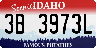 ID license plate 3B3973L