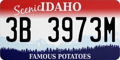 ID license plate 3B3973M