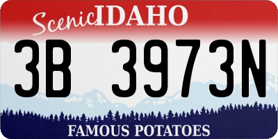ID license plate 3B3973N