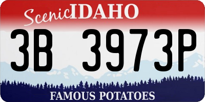 ID license plate 3B3973P