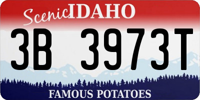 ID license plate 3B3973T