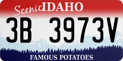 ID license plate 3B3973V