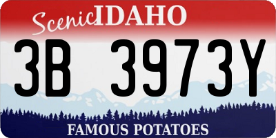 ID license plate 3B3973Y