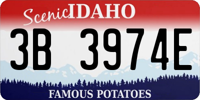 ID license plate 3B3974E