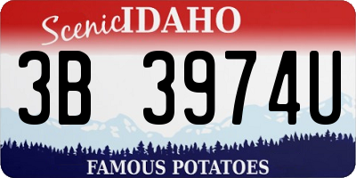 ID license plate 3B3974U