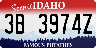 ID license plate 3B3974Z