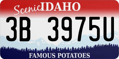 ID license plate 3B3975U