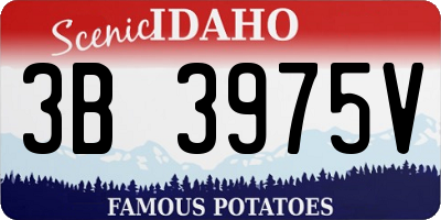 ID license plate 3B3975V