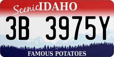 ID license plate 3B3975Y