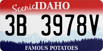 ID license plate 3B3978V