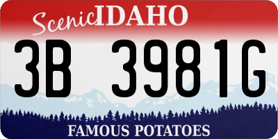 ID license plate 3B3981G