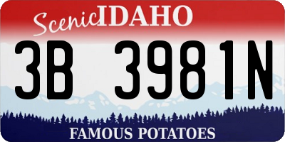 ID license plate 3B3981N