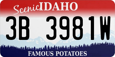 ID license plate 3B3981W