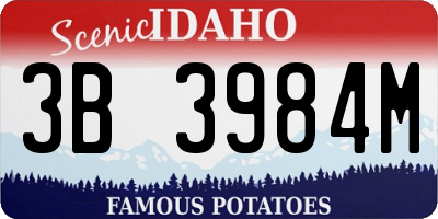 ID license plate 3B3984M