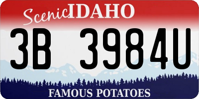 ID license plate 3B3984U