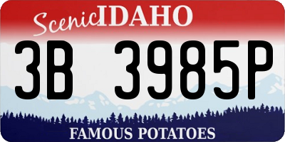 ID license plate 3B3985P
