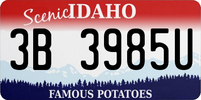 ID license plate 3B3985U