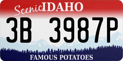 ID license plate 3B3987P