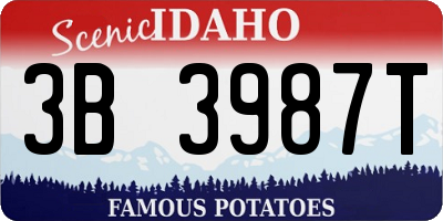 ID license plate 3B3987T