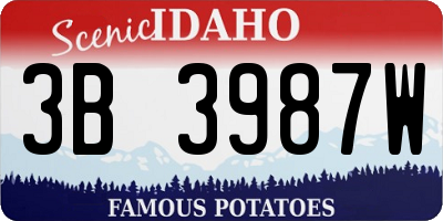 ID license plate 3B3987W