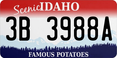 ID license plate 3B3988A