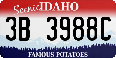 ID license plate 3B3988C