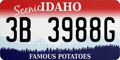 ID license plate 3B3988G