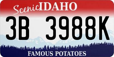 ID license plate 3B3988K