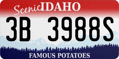ID license plate 3B3988S