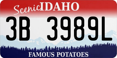 ID license plate 3B3989L