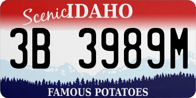 ID license plate 3B3989M