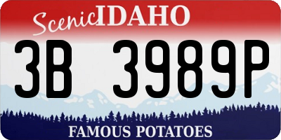 ID license plate 3B3989P