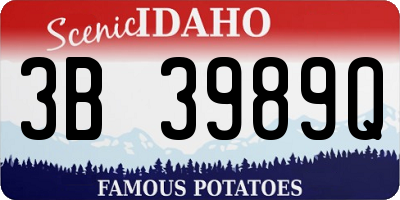 ID license plate 3B3989Q