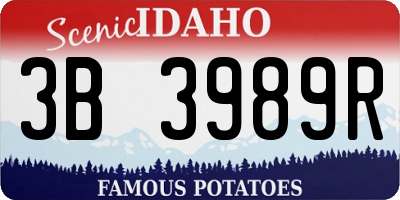ID license plate 3B3989R
