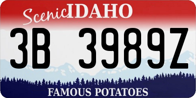 ID license plate 3B3989Z