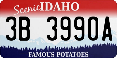 ID license plate 3B3990A