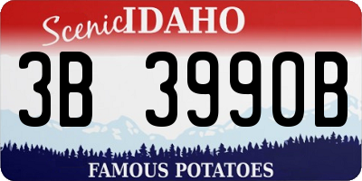 ID license plate 3B3990B
